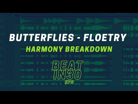 EP3 - BEATIN30 - BUTTERFLIES/FLOETRY HARMONY BREAKDOWN