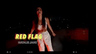 Red Flag - Natalie Jane | slowed & reverb