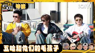 🖐👆Special: Dog collection🐕 of the Five Ha Group | HAHAHAHAHA6 | iQIYI SuperShow