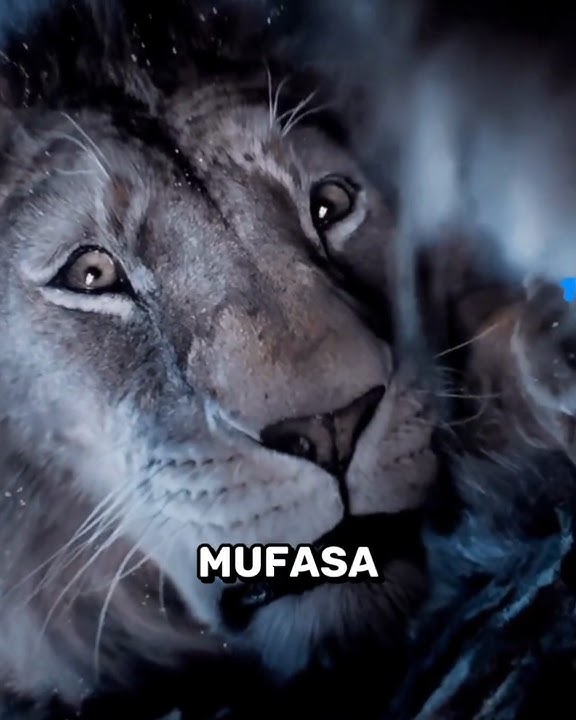 Download lagu Why Kiara Was Being Told The Story Of Mufasa And Scar in 'Mufasa: The Lion King'? #shorts #viral