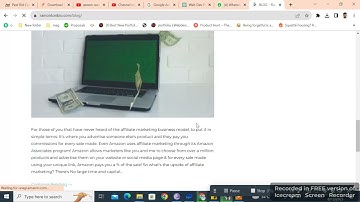 Building an Immersive Blogging Website for an Enterpernuer