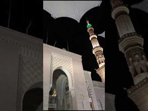 يا طيبة جاتك 