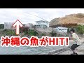 ぶっこみ釣りで沖縄の魚を釣れ！[後編]