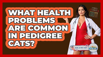 What Health Problems Are Common In Pedigree Cats? - Ask A Pet Vet