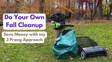 How I Do My own Fall Clean Up - 3 Prong Approach - Save Money