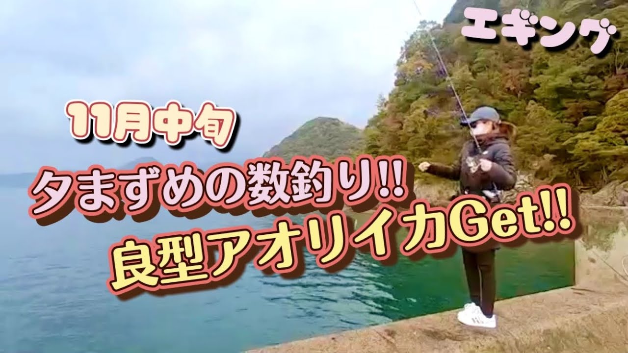 エギング 11月中旬 夕まずめの数釣り 良型アオリイカget Fishing In The Japanese Sea Fishing Girl Mikan Youtube
