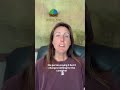 Messages Are Not Support | Caregiver Reality