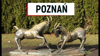 Poznań / Познань очима українського туриста: що подивитись, куди сходити; про місто.