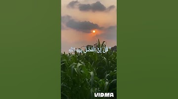 قران كريم تلاوه روعه في الجمال بصوت جميل راحه نفسيه #quranhearts