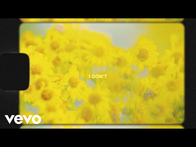 Brittany Howard - I Don't