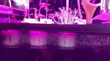 Fabacademy 2017 Final Project