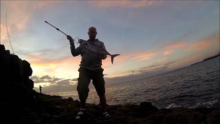 Bonito Fishing - Fuerteventura