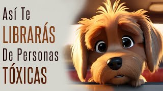 El Perro Que Aprendió De Que Tipo De Personas Debes Alejarte: Cuentos Que Te Cambian La Vida