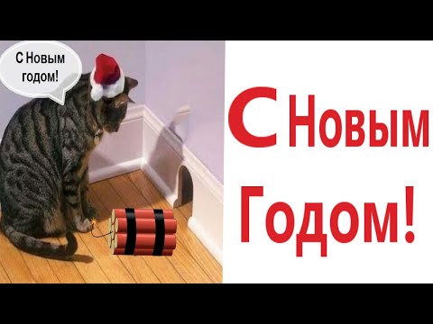 Приколы! С НОВЫМ ГОДОМ - МЕМЫ!!! Смешные видео от – Доми шоу!
