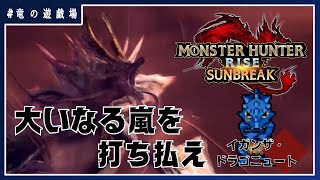 #61【Monster Hunter Rise SUNBREAK(switch)】(視聴者参加型)怪異レベル２００を目指せ！【竜の遊戯場】