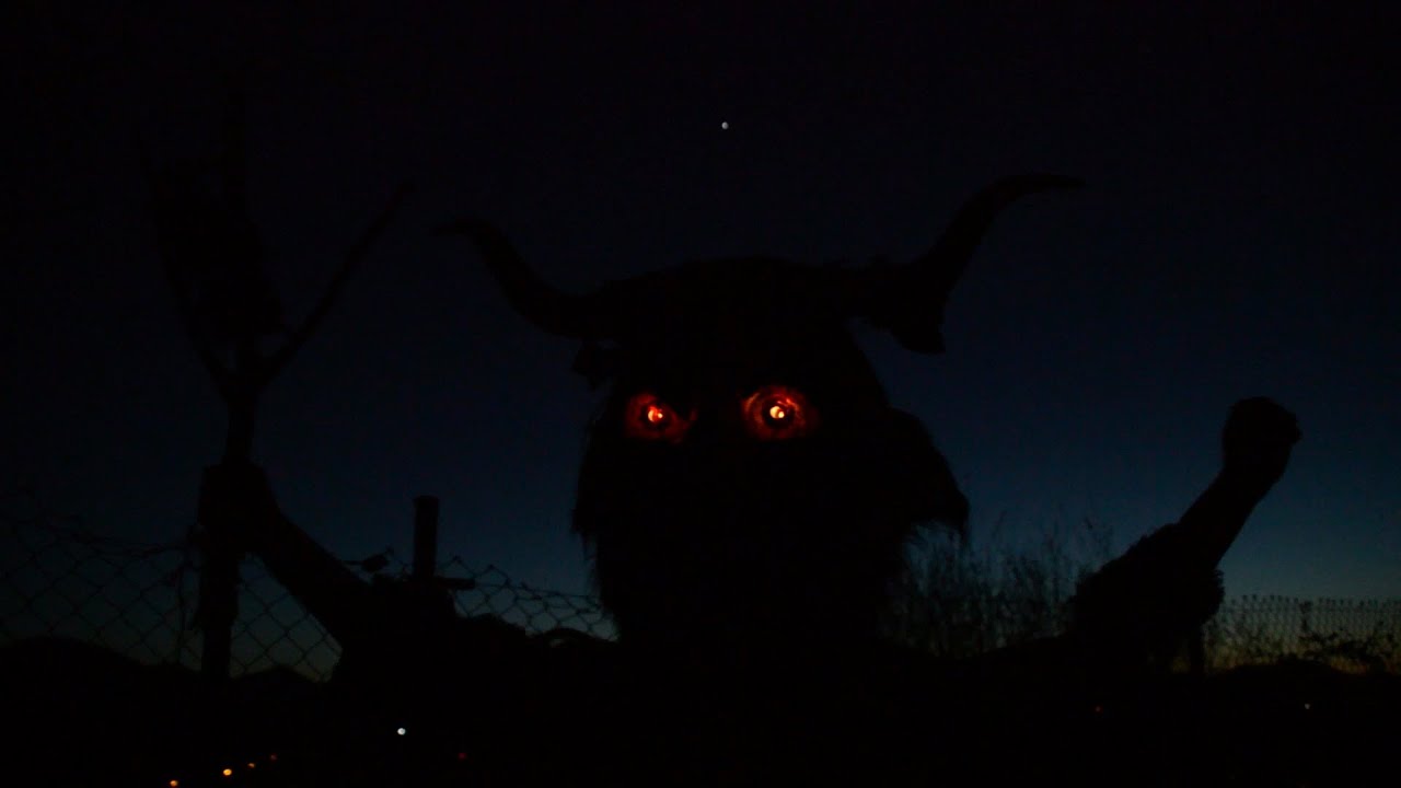 Oiartzungo ihotik 2020