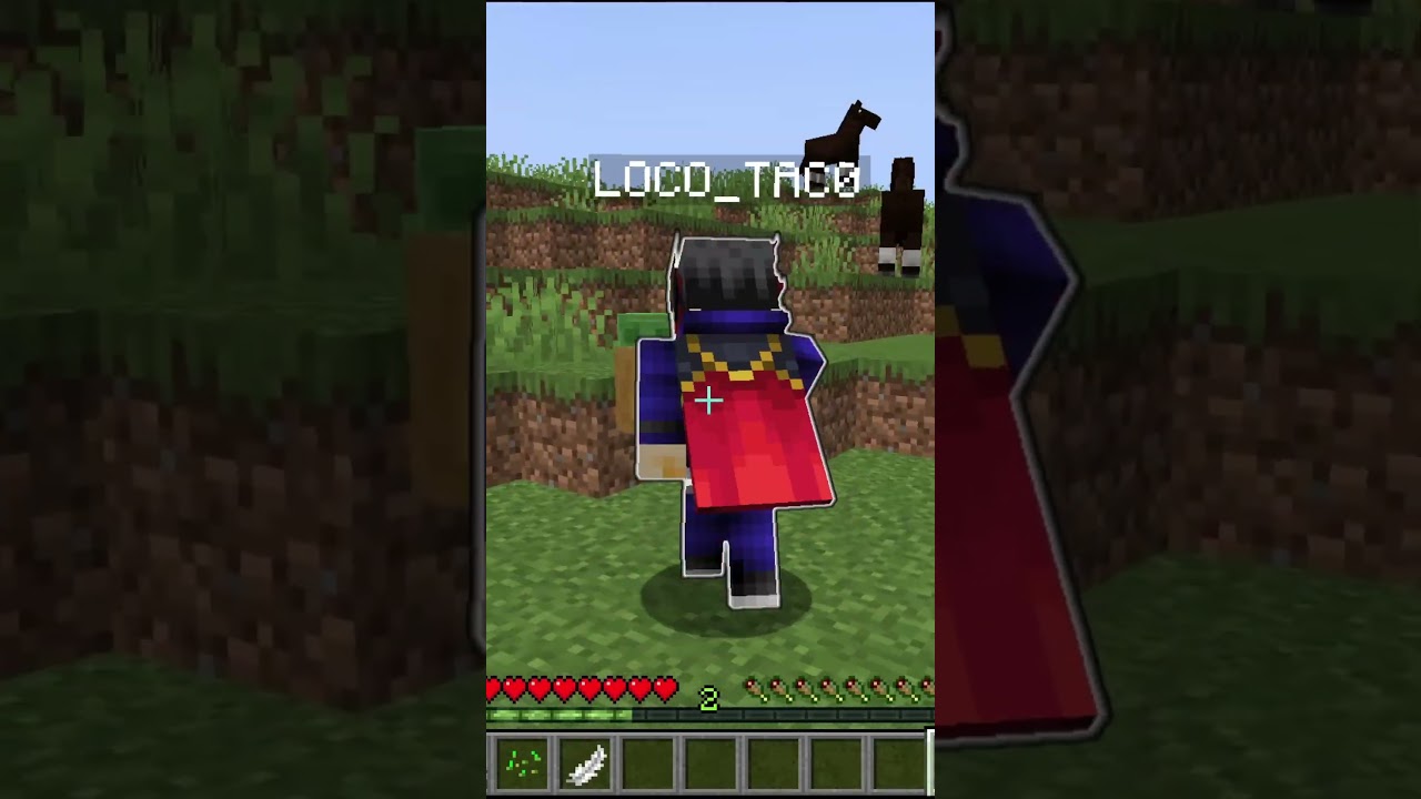 Minecraft but damage gives random potion effects...