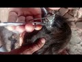 🔥 World’s Most Relaxing Bald Head Shave ASMR 💈 Old Hand Clipper & Razor Sounds #blade #shaving