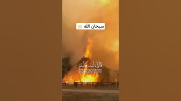 سبحان الله 🤲🏻#صوت_جميل تلاوة خاشعة للقارئ ياسر الدوسري #تلاوة_خاشعة #القران_الكريم #رح_سمعك#viral