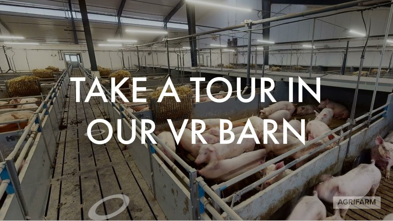 VR Barn promovering