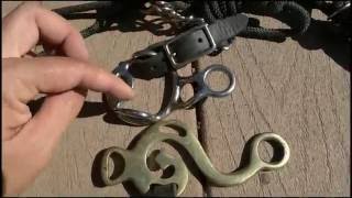 Bitless Bridle Basics Part 1 of 2