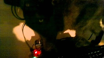 cubiuntu on cubieboard 2 powered via tv service port using logitech k400 keyboard