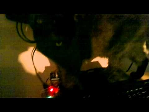 cubiuntu on cubieboard 2 powered via tv service port using logitech k400 keyboard
