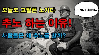 삭막한 노가다판! 사람들이 추노하는 이유는? [3분 쓴맛]