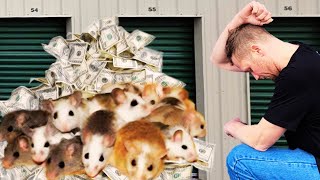 800 MOUSE INFESTED Storage Unit still made CASH