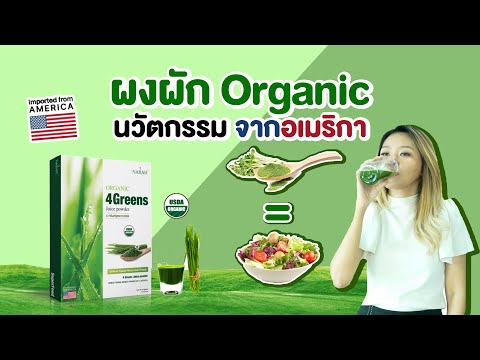 (เช็คสูตร) ผงผัก 4GREENS ทางเลือกสำหรับคนรักสุขภาพ