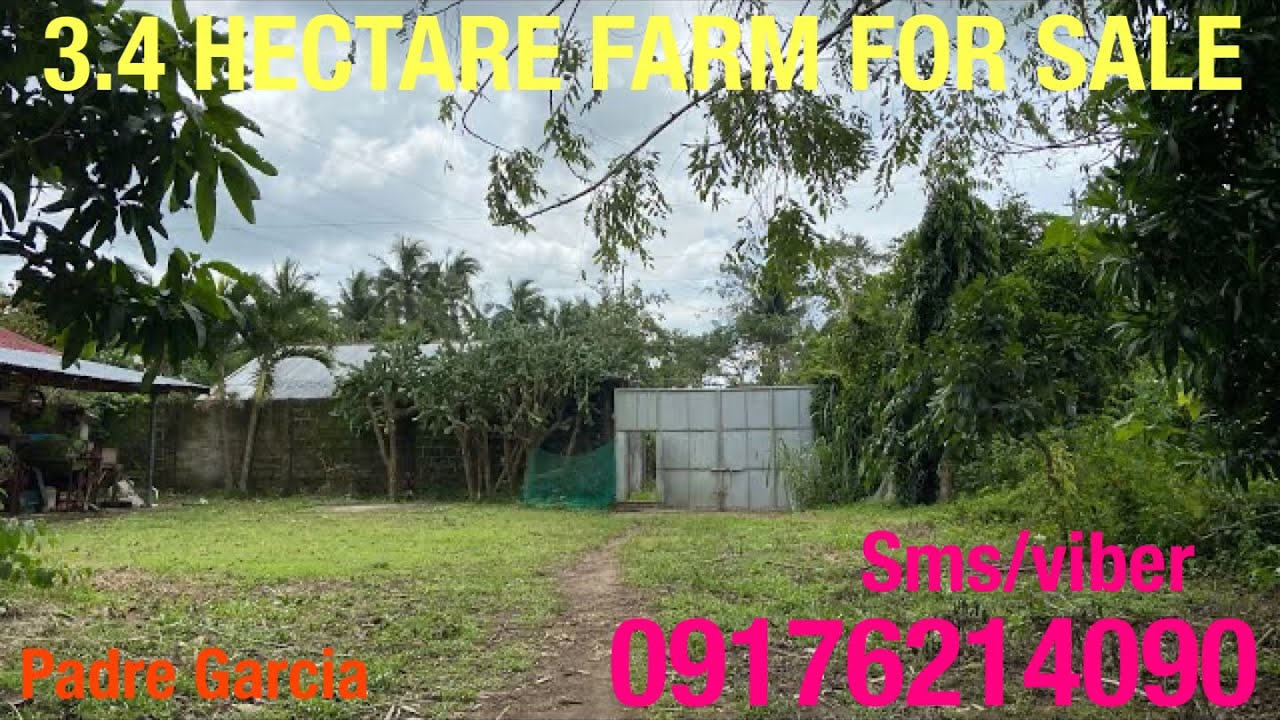 Vlog396 3.4 HECTARE FARM LOT FOR SALE IN PADRE GARCIA BATANGAS