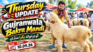 Today Fresh Update Gujranwala bakra mandi Thrusday | Pakistan Big Goats and sheep | Thrusday Update
