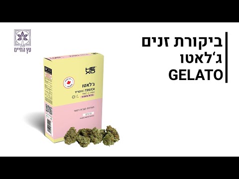 וִידֵאוֹ: Cissus (Cissus) ענבי פנים, זנים, תנאי מעצר, מחלות