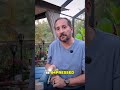 4-in-1 tool from backyard safety to inspection Review | POCKET POWER | Reviews Unscripted