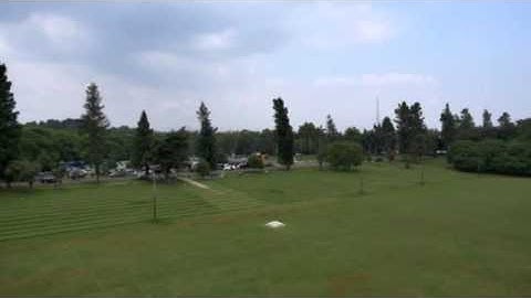 Futaba 14SG & Align M690L