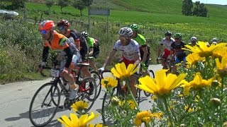 Granfondo Lombardo 2016 | servizio completo