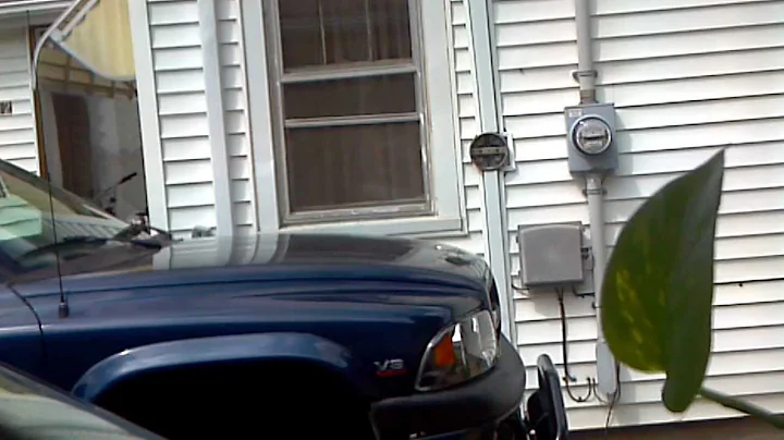 Neighbor losing her shit again (niki Meyers)