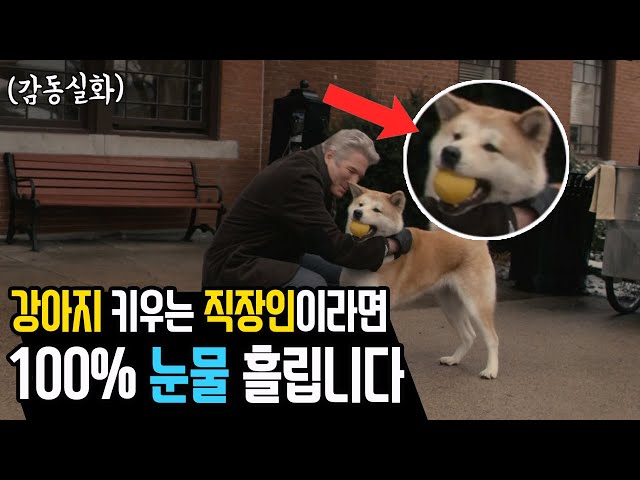 (결말포함) 겨울에 꼭 봐야하는 감동 실화 영화 I 감동주의