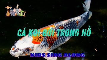 Học tiếng Việt siêu vui qua bài hát “CÁ KOI BƠI TRONG HỒ”