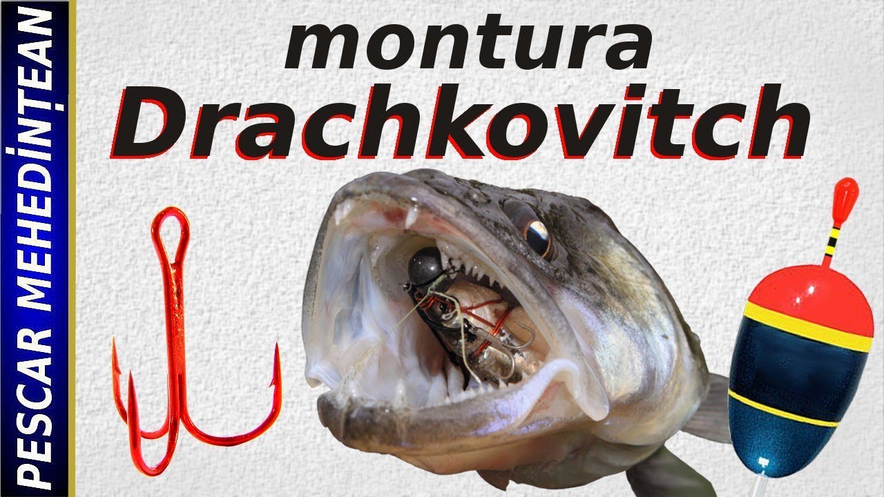 montura Drachkovitch