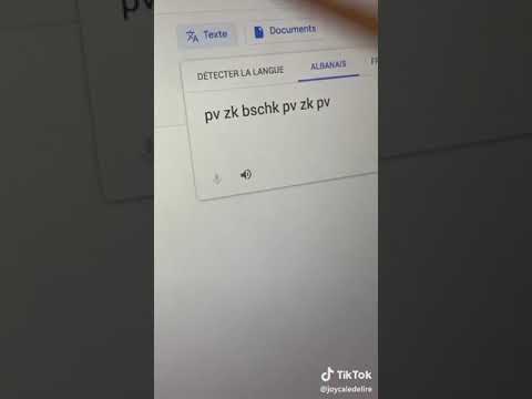 Google Translate remix  TikTok