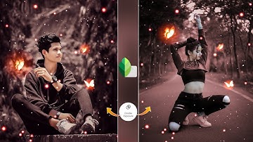 Snapseed Photo Editing Butterfly | Butterfly Editing Snapseed