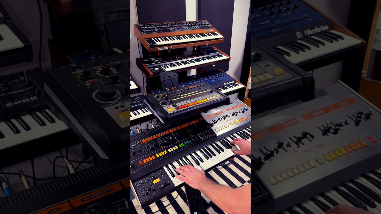 Happy 808 Day!  🎉🎉🎉 