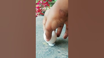 Simple Experiment with Egg and Salt 😱😱#M4TECH #shortvideo #shorts