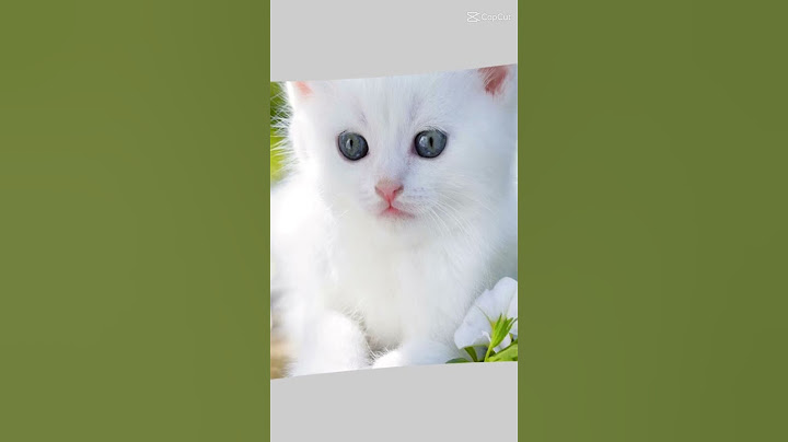 Това е любимото ми клипче!!!