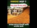 खरीप २०२६: मका लागवड फायदा की तोटा? 🌽⚠️ #shorts #शेती #agriculture #farming #maharashtra