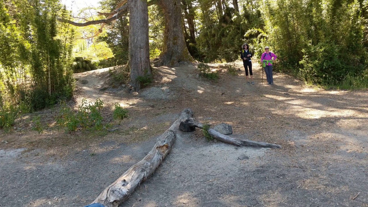 BR D3, Brazo Última esperanza of Lago Nahuel Huapi, near Correntoso, Argentina, 2018-01-30