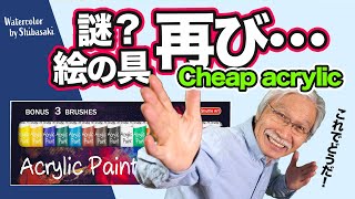 [Eng sub] Super cheap acrylic paints. Go beyond the limits!