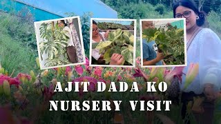 Ajit dada ko Nursery Visit!!#kalimpong#plantslovers@bibikasubba123…Vlog__29👻
