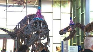 Happy 100 years to the Witte Museum!